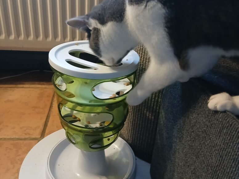 {{brizy_dc_image_alt entityId=